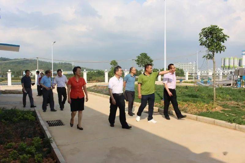 杭州台风网，守护城市安全的数字防线