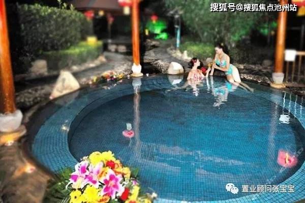 英足总杯最新战报与积分榜深度解析