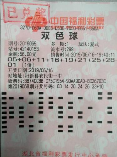 守号二十载，双色球下的坚持与奇迹