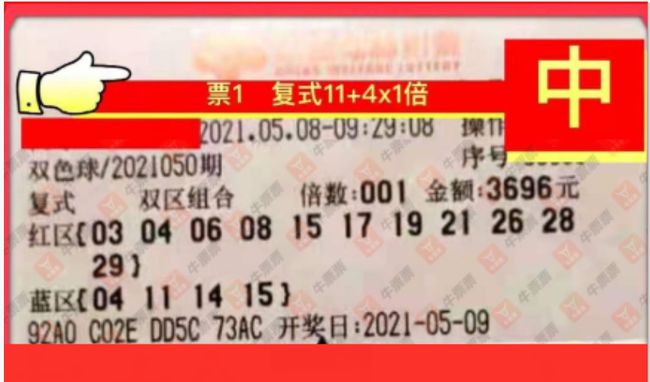 2025年5月 第5页