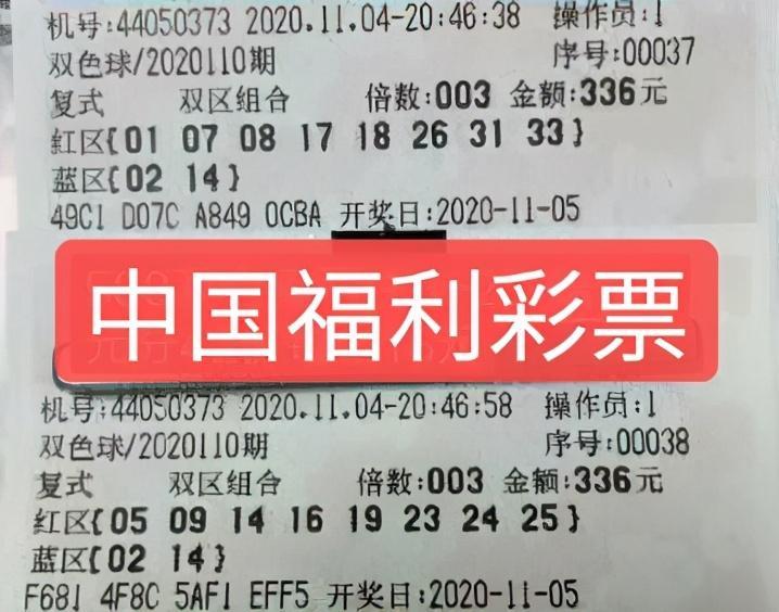 2025年6月10日 第6页